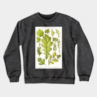 Assorted leaves and mosses - Botanical Illustration Crewneck Sweatshirt